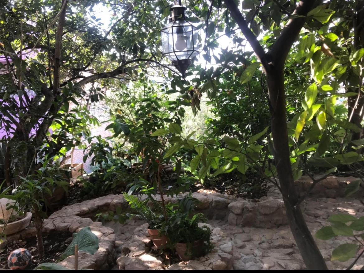 Casita Mellado *