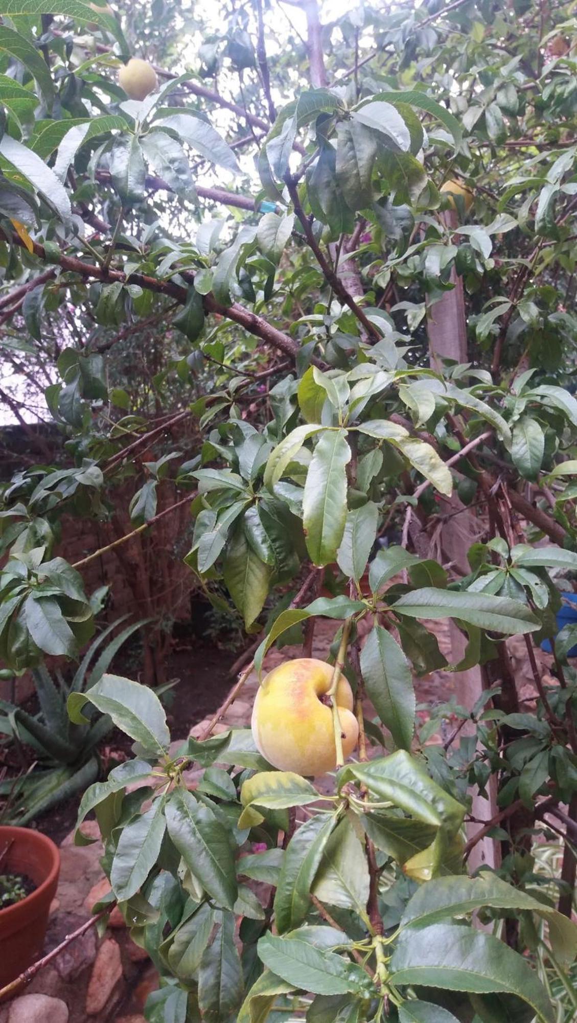 Apartamento Casita Mellado Guanajuato