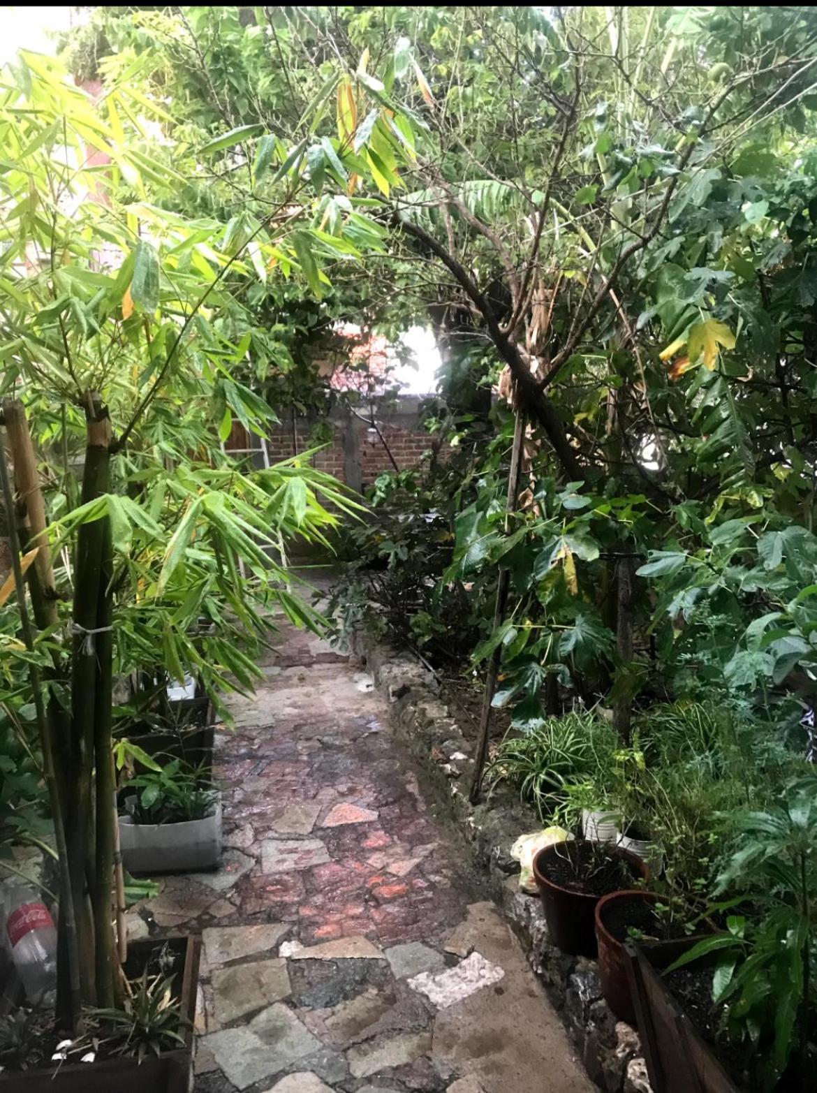 Apartamento Casita Mellado *