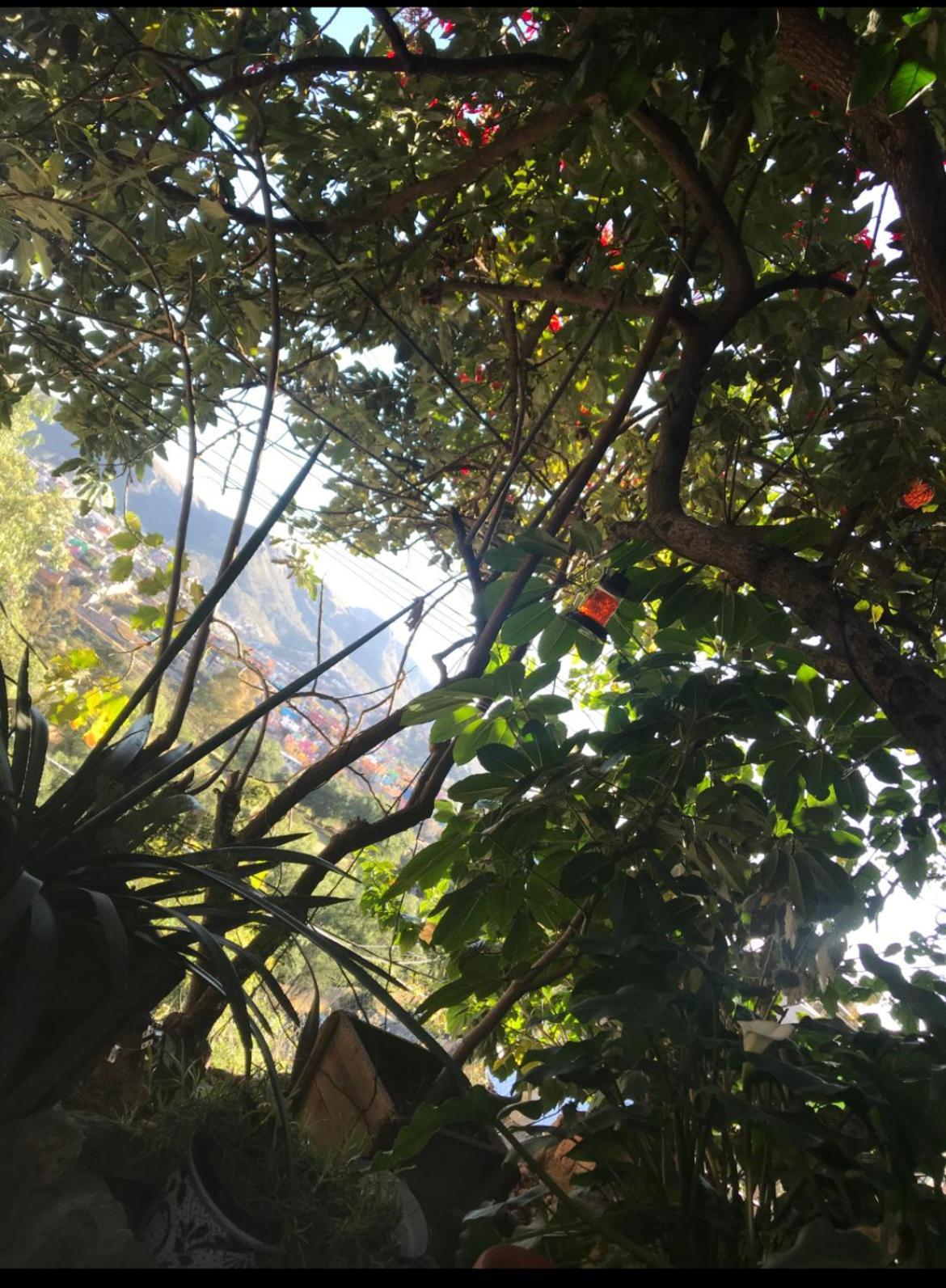 Casita Mellado Apartamento Guanajuato