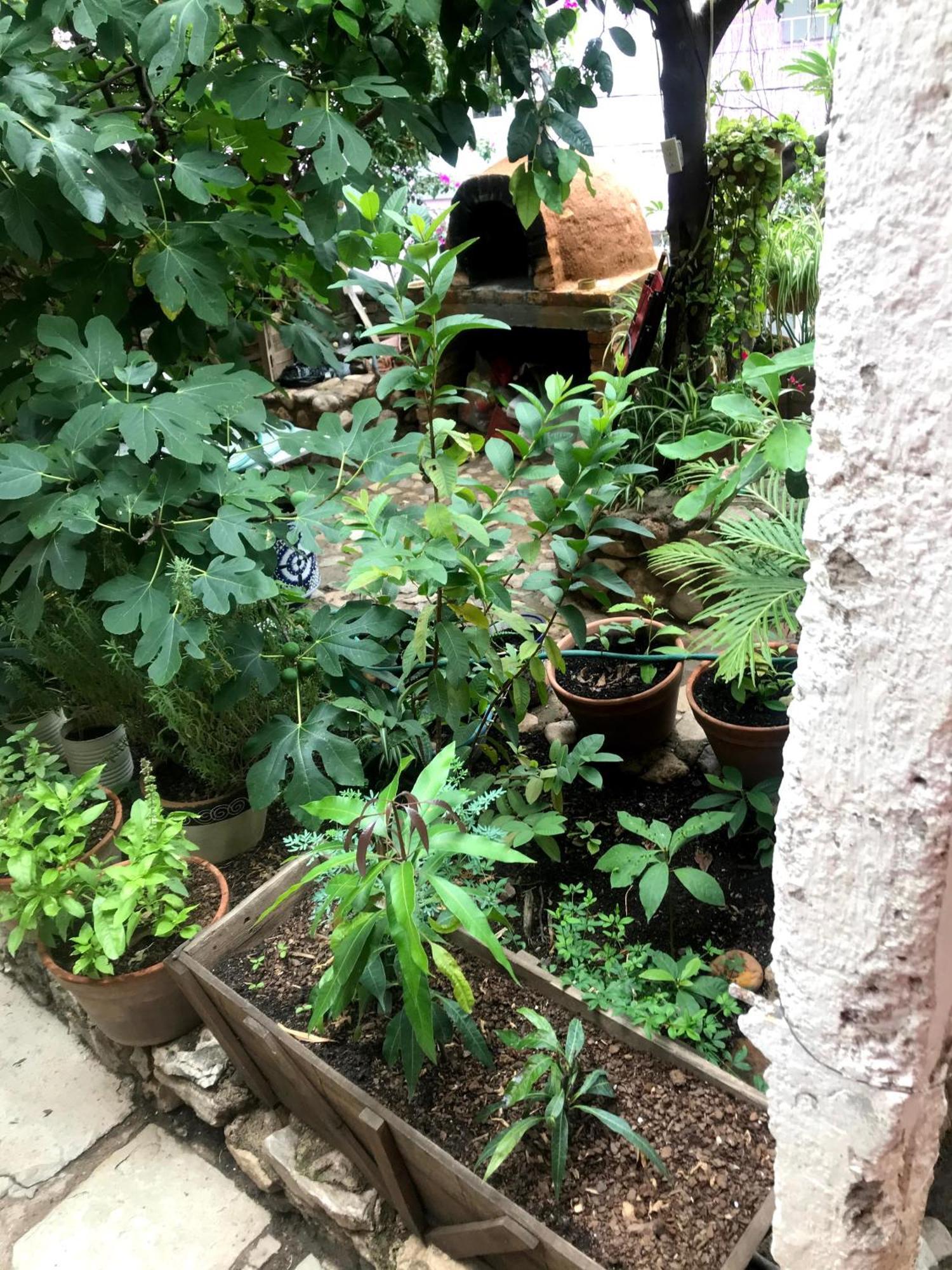 Apartamento Casita Mellado Guanajuato