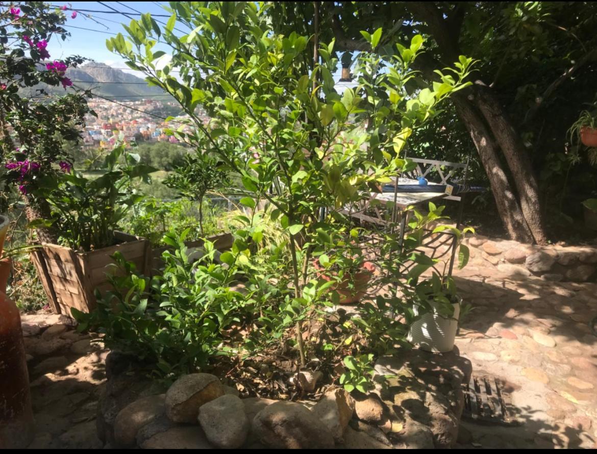 Apartamento Casita Mellado *