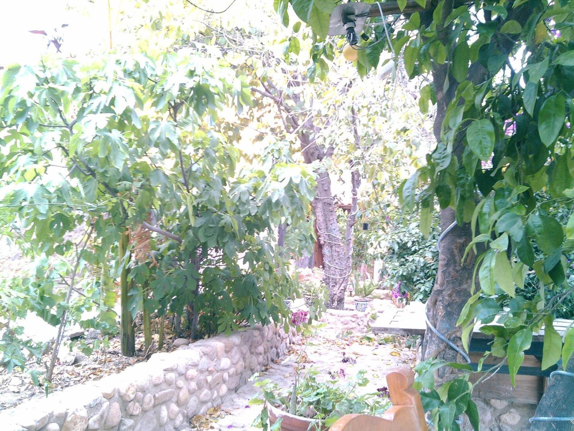 Casita Mellado