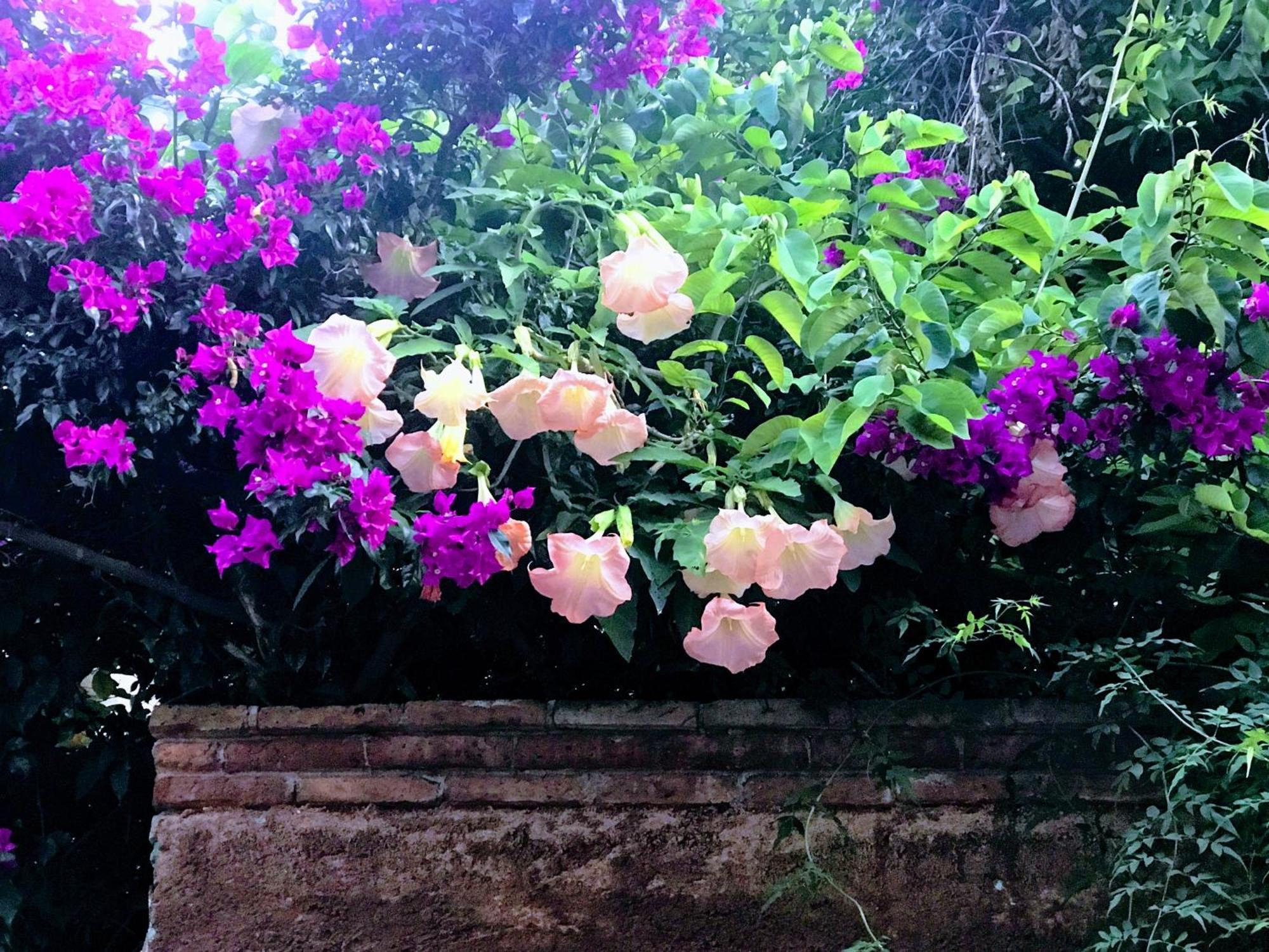 Apartamento Casita Mellado Guanajuato