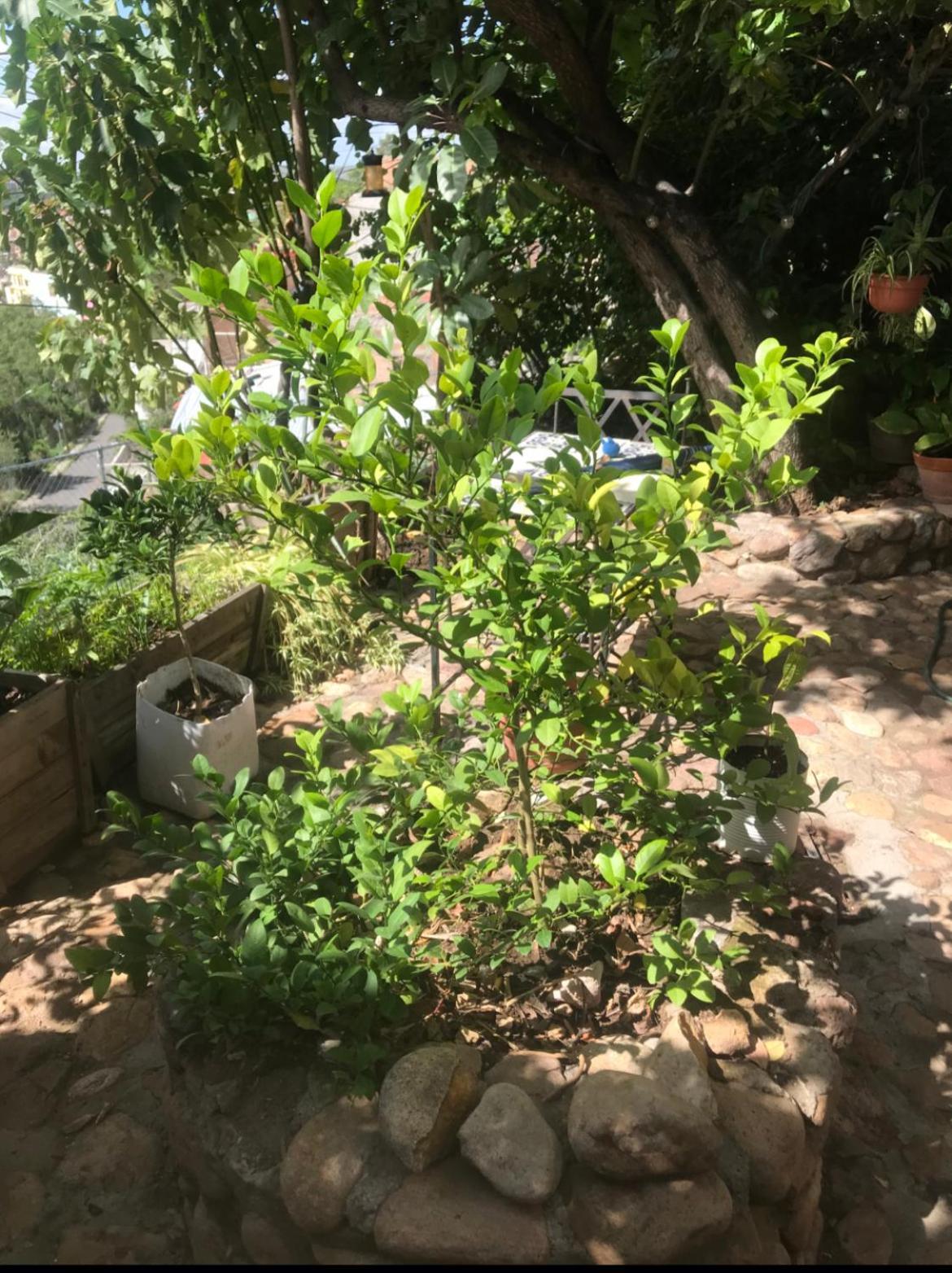 Casita Mellado * Guanajuato