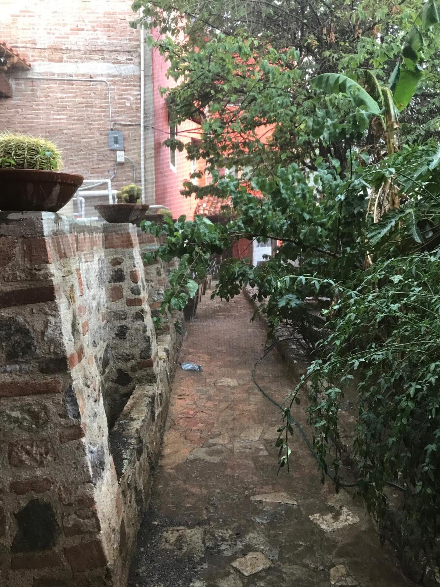 Apartamento Casita Mellado *